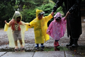 ひなちゃん、きいちゃん、きよちゃん